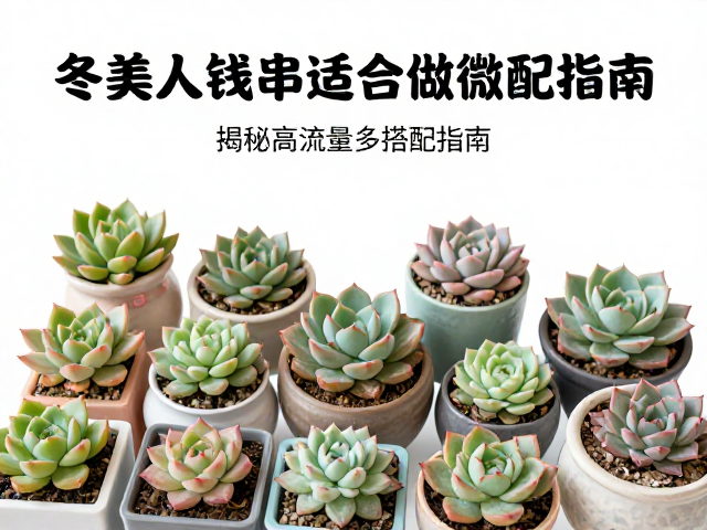 空间布局与种植技巧