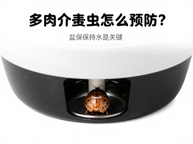 盆底排水系统的核心作用