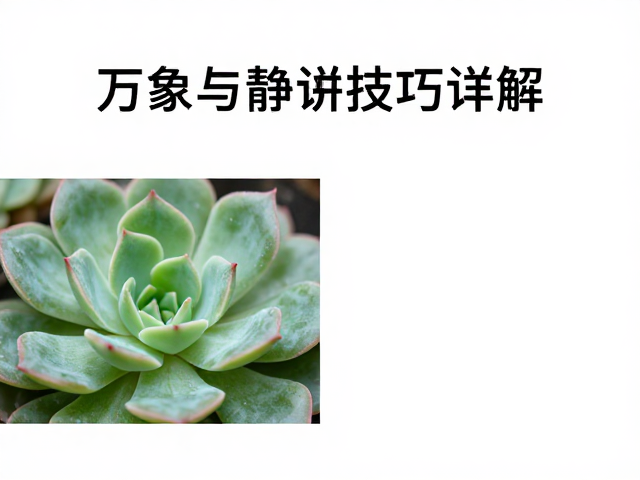 万象与静夜如何区分？科属辨识快速分辨多肉技巧详解