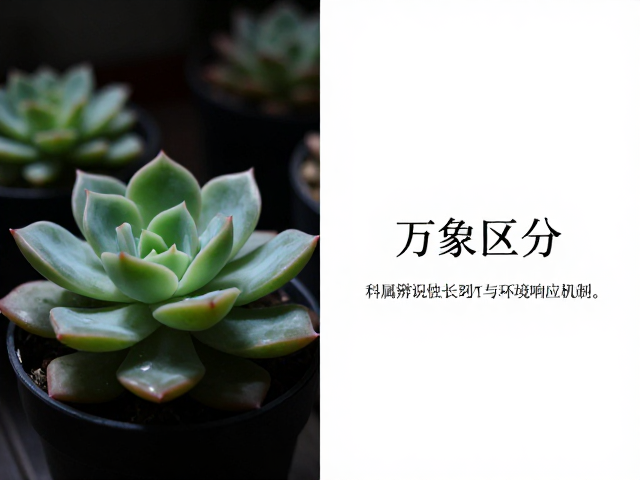 生长习性与环境响应机制