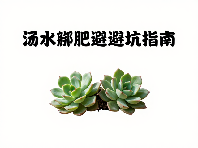 常见问题排查与养护误区规避