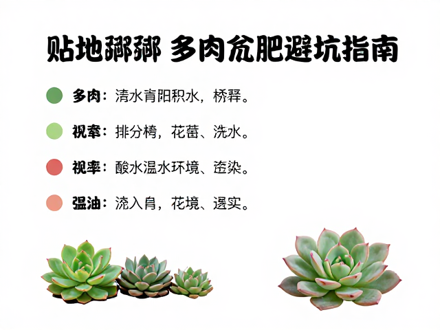 浇水频率与环境因子的精准调控