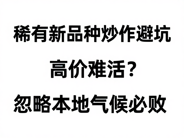 隐性成本与长期养护的现实考量