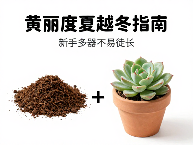 土壤配比与盆器选择对防徒长的影响