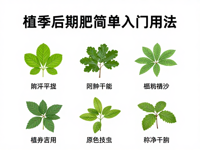 病虫害的预防与物理干预