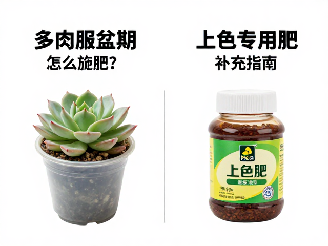 普通肥与上色肥的科学差异