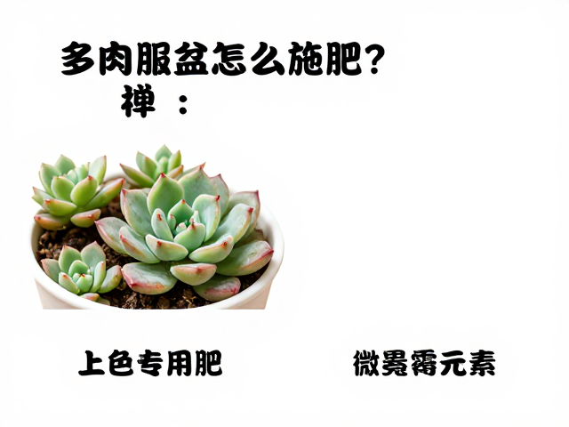 施肥操作的安全规范与环境协同