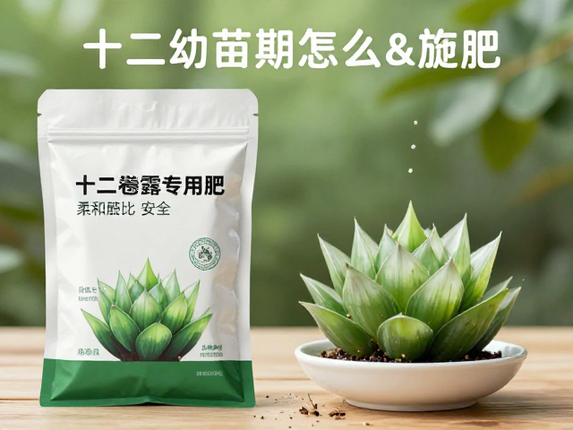 法师幼苗期怎么施肥？十二卷玉露专用肥柔和配比，低浓度更安全