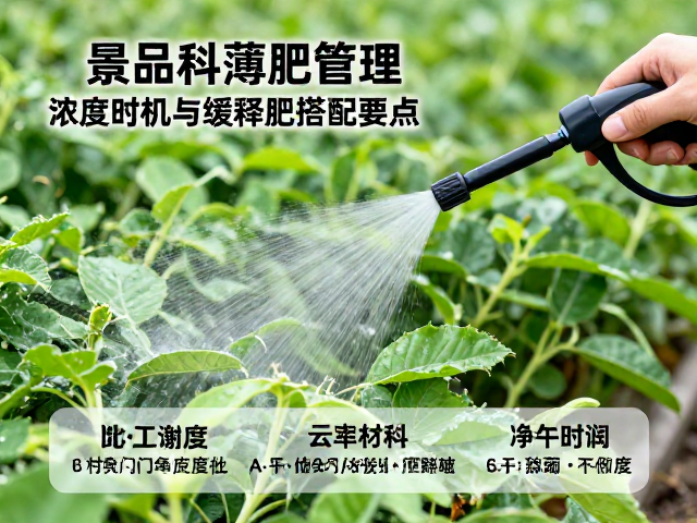 叶面肥喷施的浓度控制与最佳时机