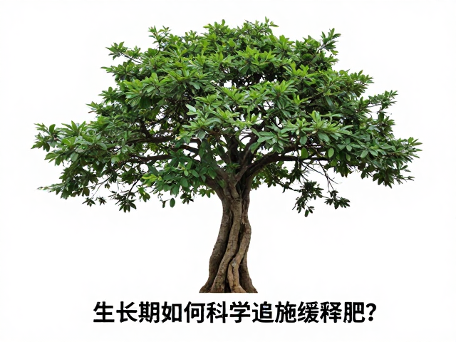 环境协同与异常情况的应对
