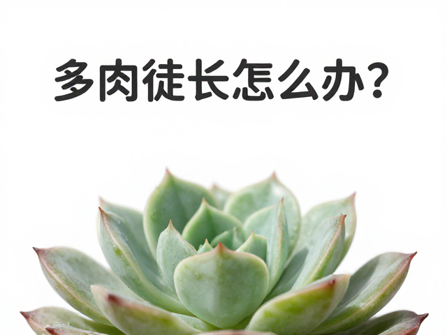 循序渐进增加光照的方法