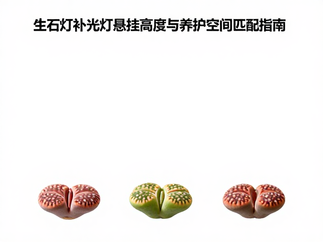 视觉反馈与动态调整机制