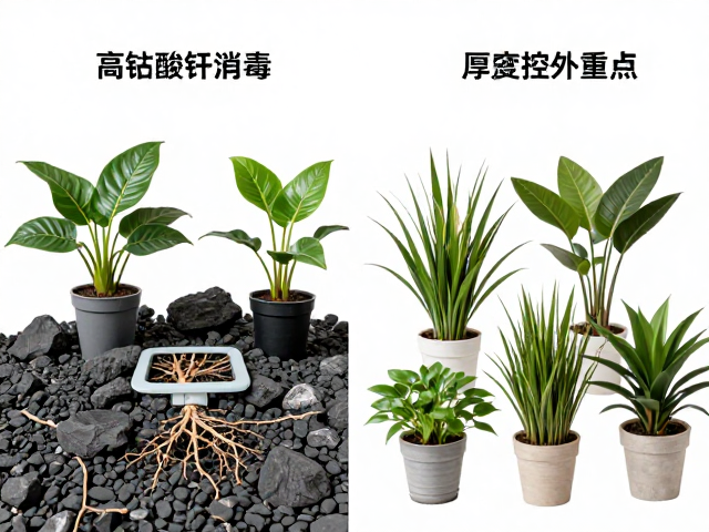 不同植物类型的应用差异与注意事项