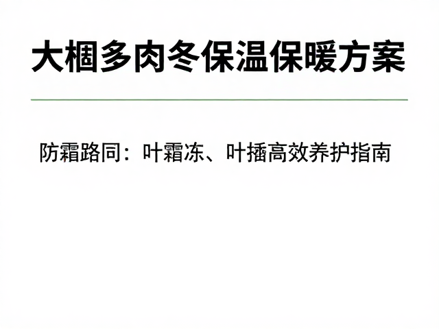 防霜冻与叶插高效养护指南