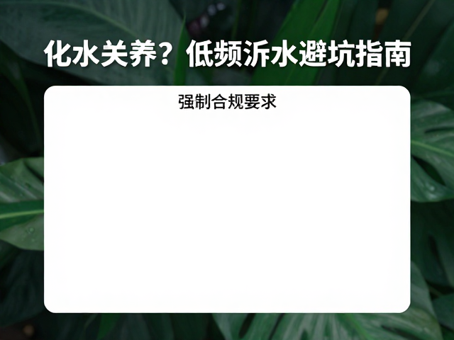 化水怎么养？稳定光照，低频浇水避坑指南