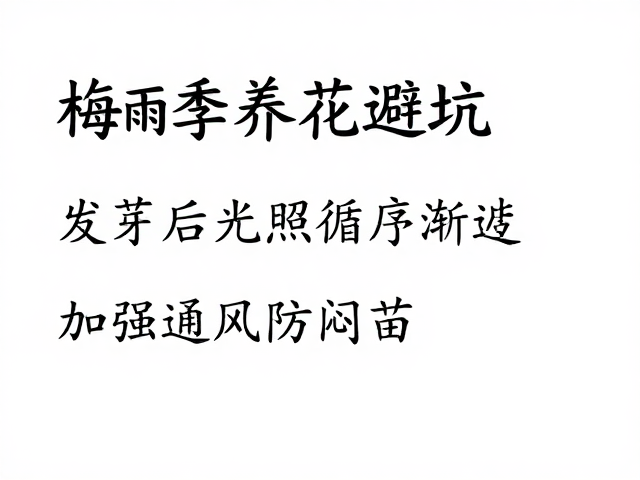 加强通风防闷苗