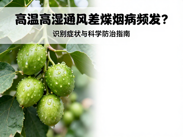 果实与观赏植物的专项处理