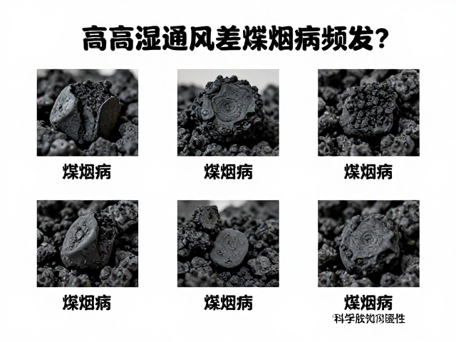 煤烟病的典型症状识别与早期预警