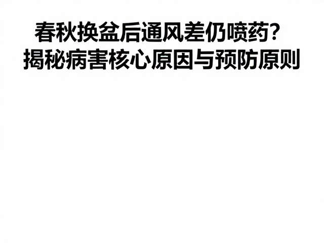 预防原则：构建低湿高流的微环境