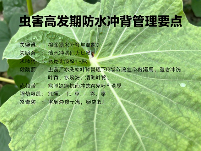 通风管理的空间布局与气流优化