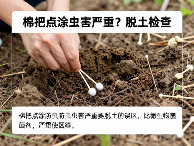 虫害严重时的脱土检查必要性与操作规范
