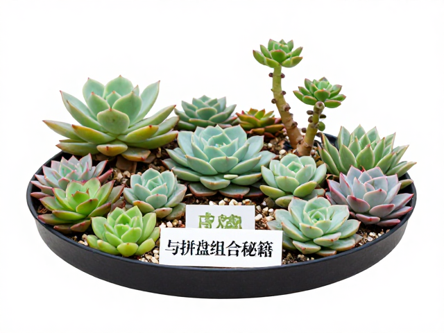 季节性养护的关键措施