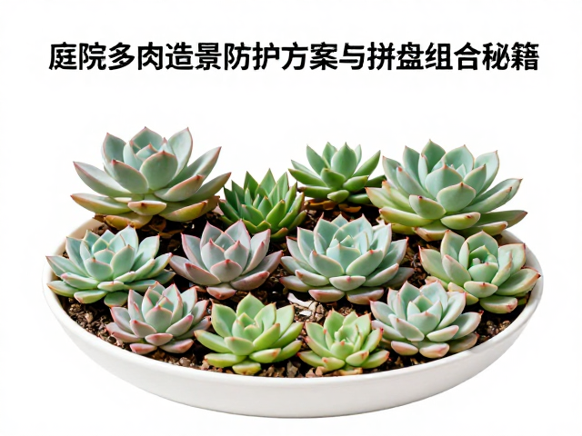 病虫害防治与日常维护