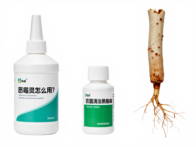 恶霉灵怎么用？搭配百菌清防治黑腐病，高效杀菌不伤根