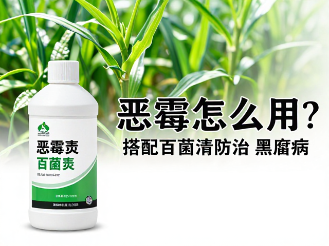 田间应用中的关键注意事项