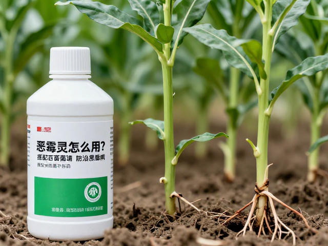 精准施药与浓度控制的实操细节