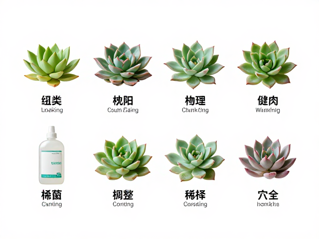 稀释比例与安全阈值