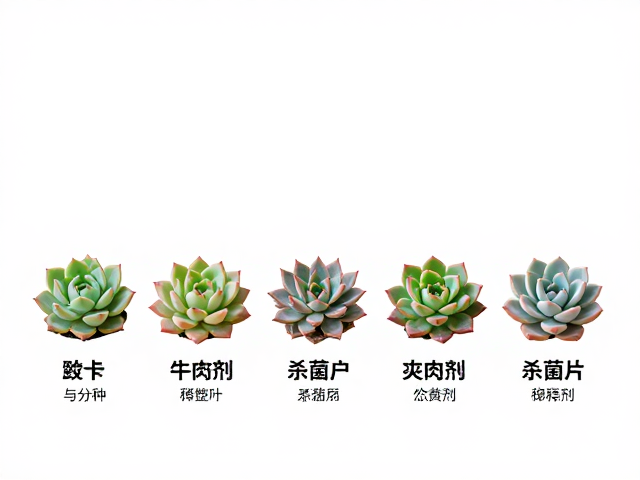 多肉常用杀菌剂种类与配比，按品种调整稀释比例更安全