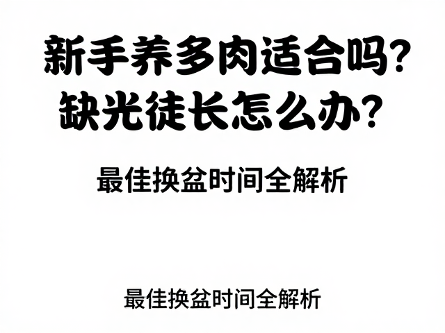 新手养多肉适合吗？缺光徒长怎么办？最佳换盆时间全解析