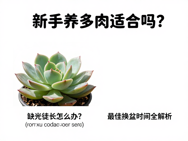 缺光徒长的成因分析与紧急干预