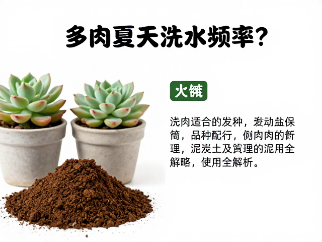 泥炭土在夏季配方的风险与改良策略
