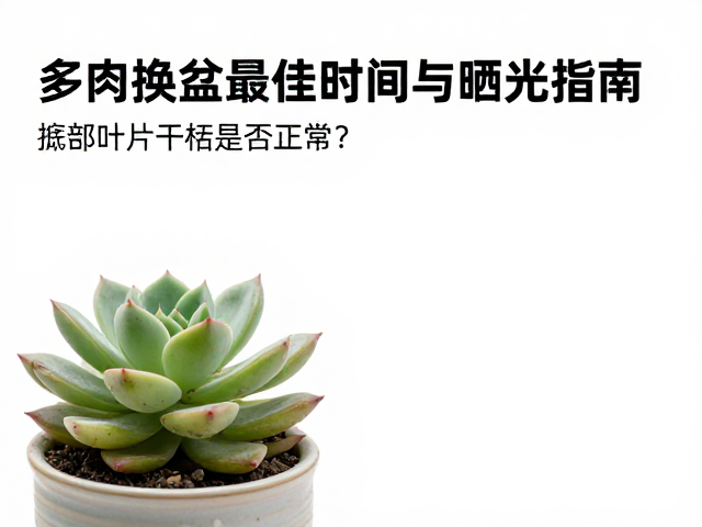 晒光指南与光照管理