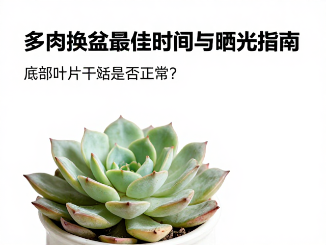 异常干枯的成因与干预