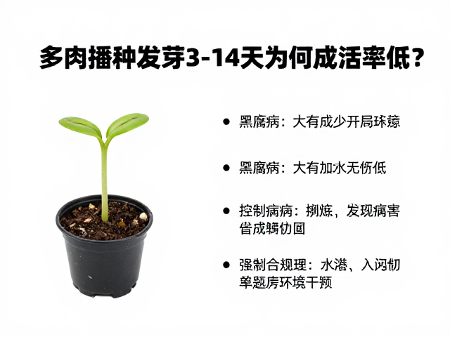 物理隔离与环境干预:控制病害蔓延