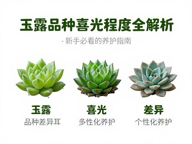 品种差异与个性化养护