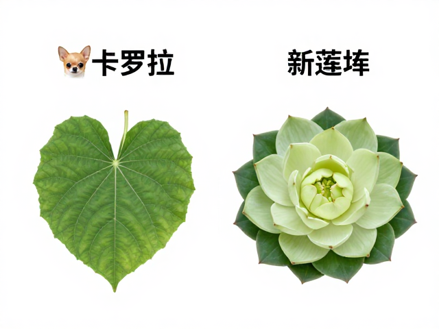 新叶老叶差异表现