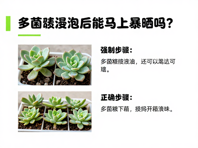 开箱与基础检查