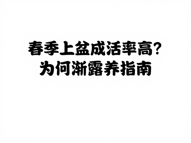环境调控与日常管理要点