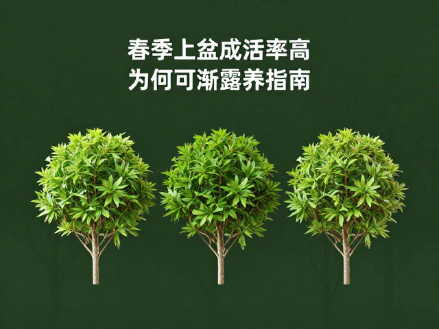 春秋渐露养的科学逻辑