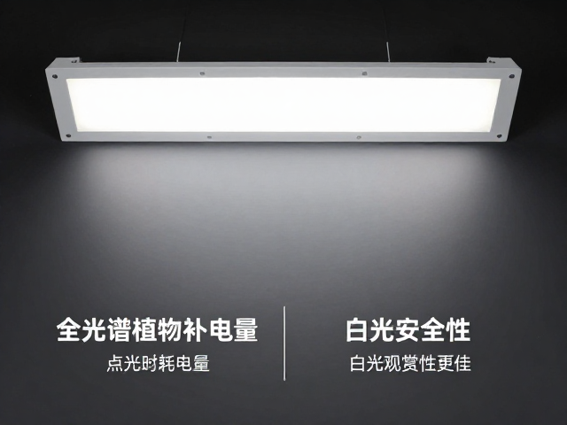 安全性评估与电气标准合规