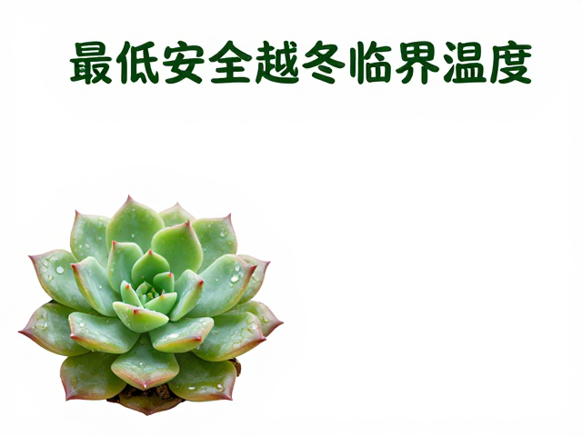 查最低安全越冬临界温度