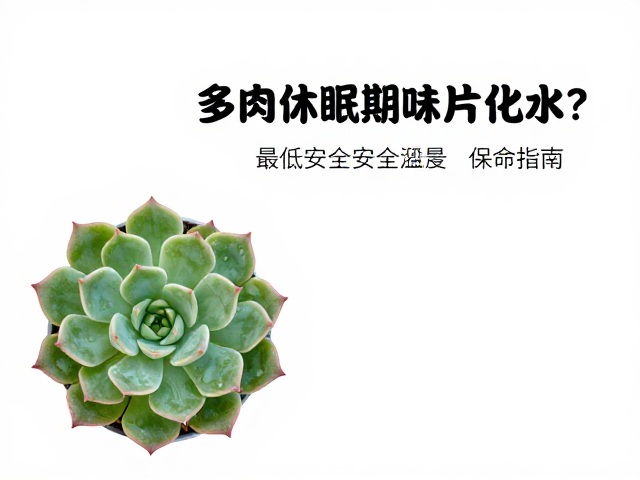 保命指南:环境调控与应急处理