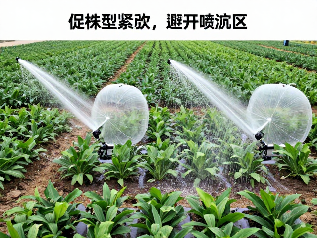 环境因子协同与全年养护节奏