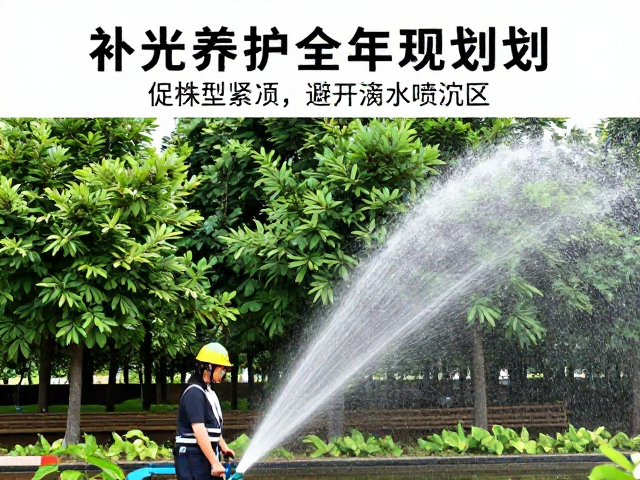浇水方式与喷溅风险的规避机制