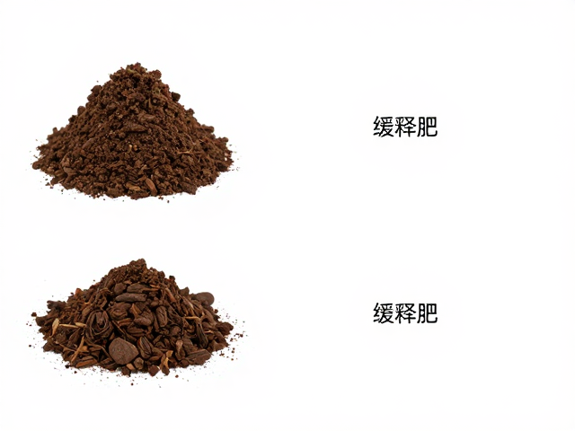 结构优化:辅助介质的协同作用