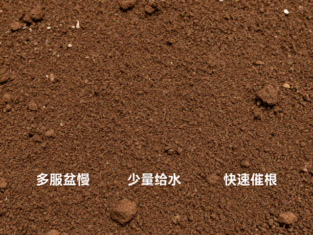 成品土改良与介质配比逻辑